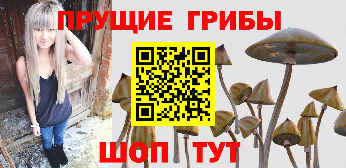 Южно-Сахалинск  Псилоцибиновые грибы Psilocybine cubensis  цена наркотик  Вход с VPN 